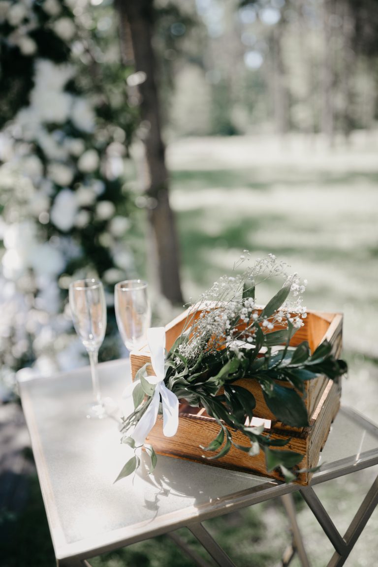 Wedding T&V (12)