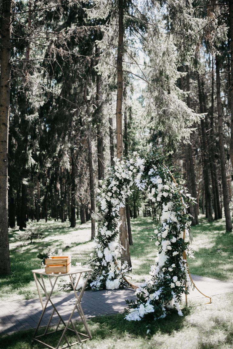 Wedding T&V (13)